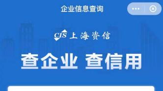 中國銀聯信息咨詢服務概覽